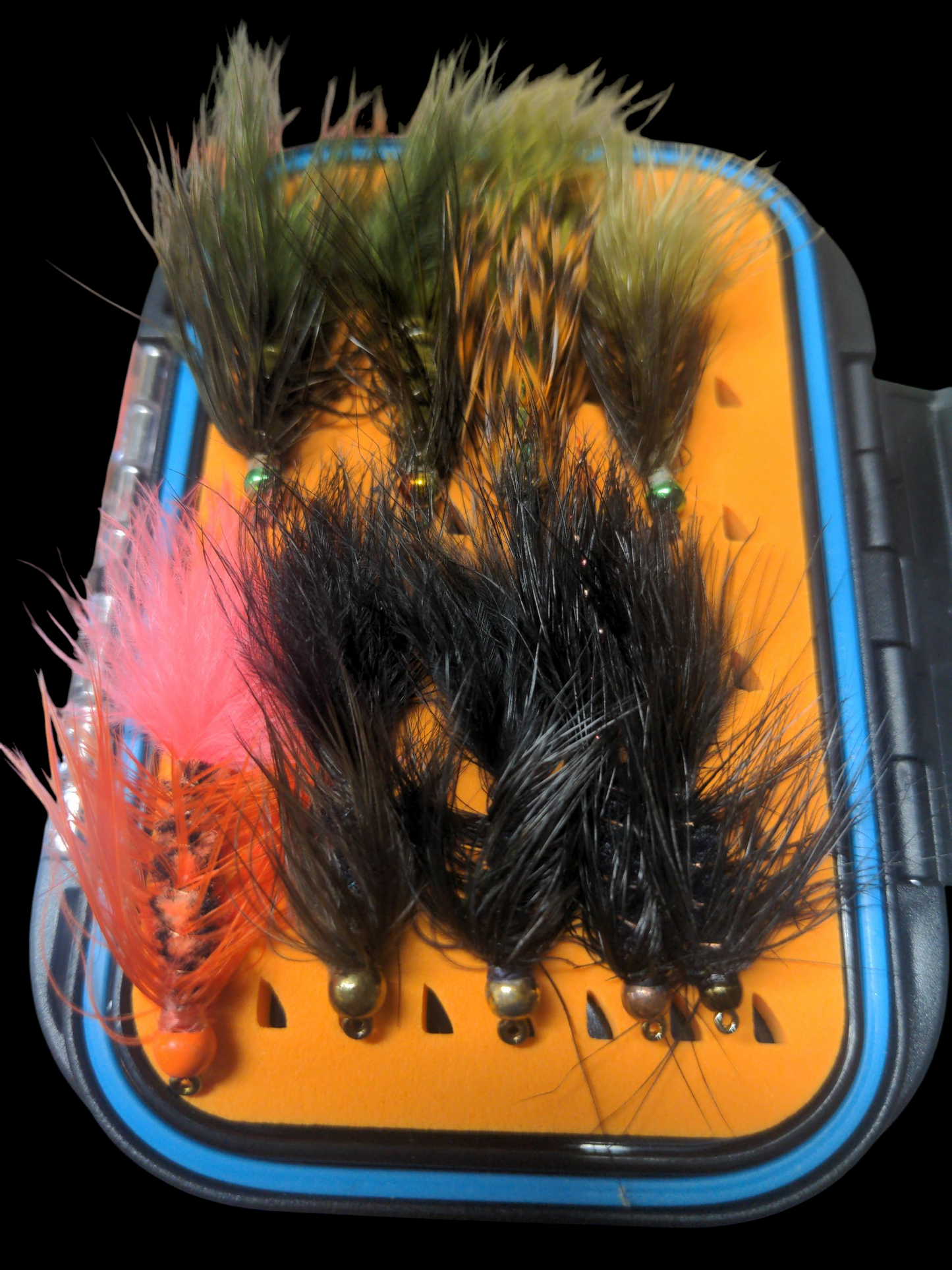 Ultimate Lake Erie Steelhead Box