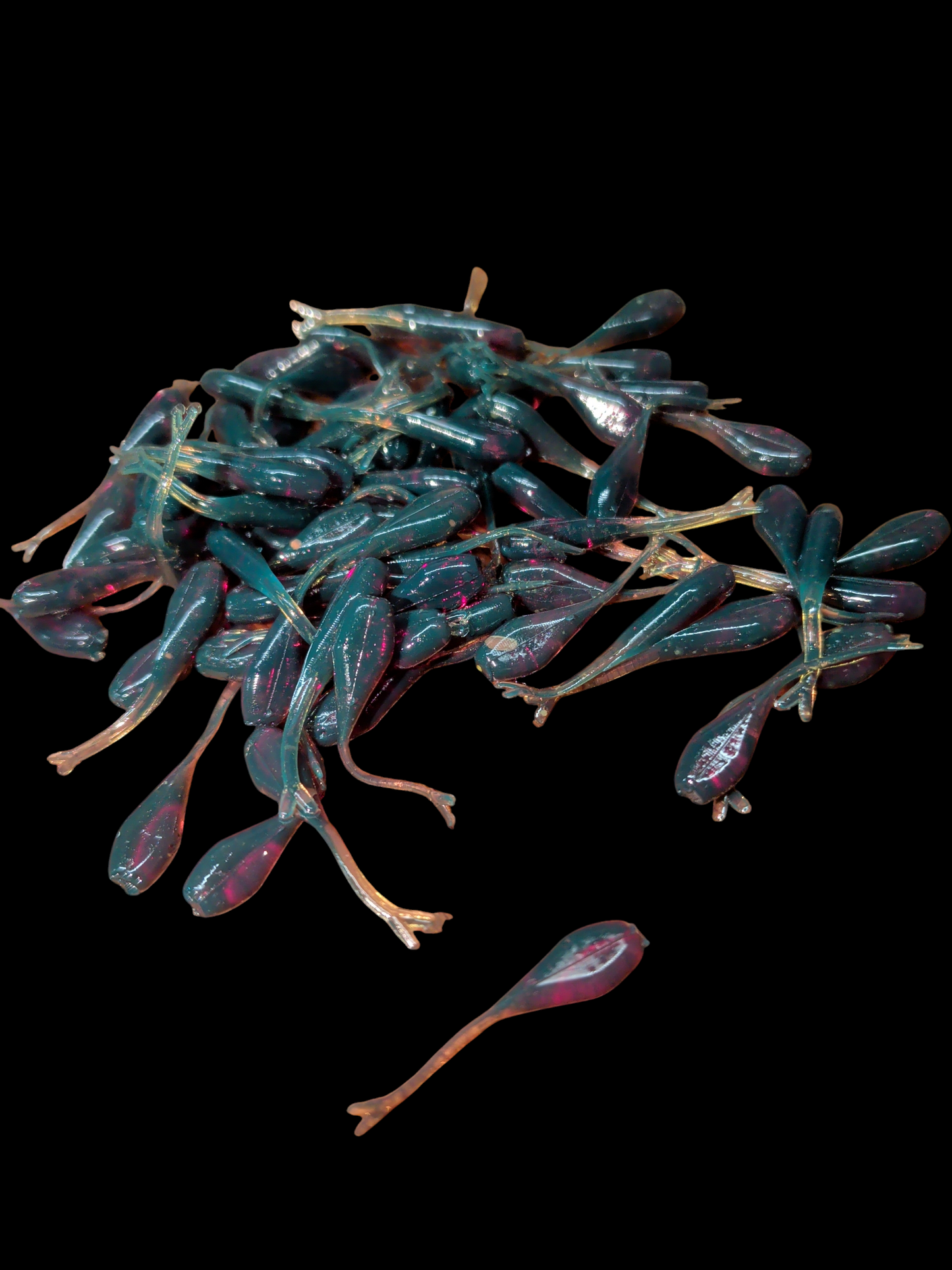 1" FC Split Tail Shad