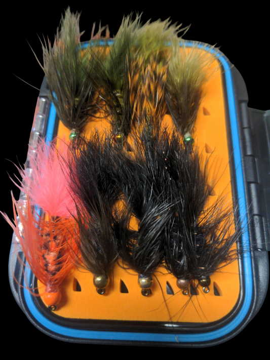 Ultimate Lake Erie Steelhead Box
