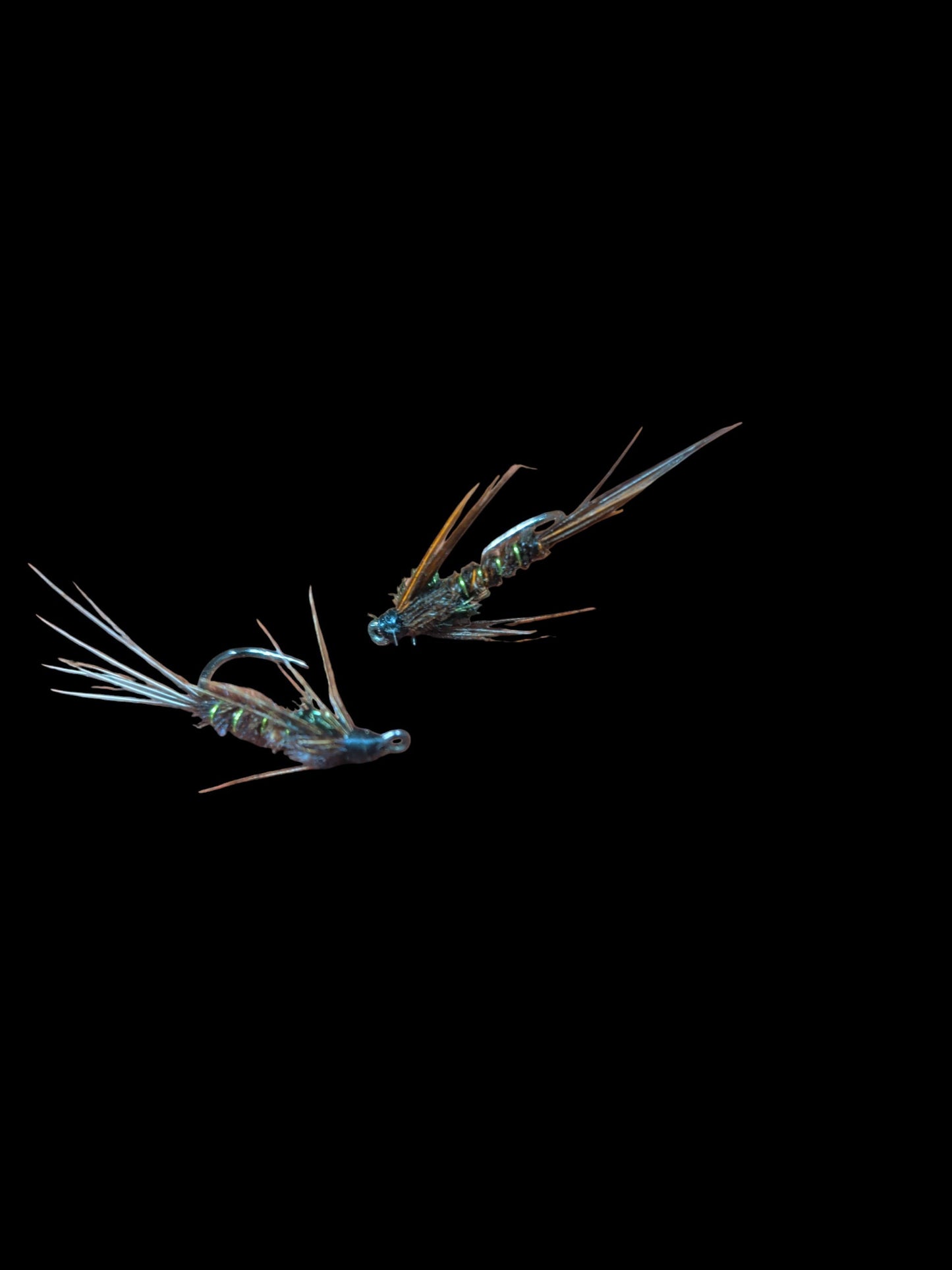 Lake Erie Steelhead Fly Box