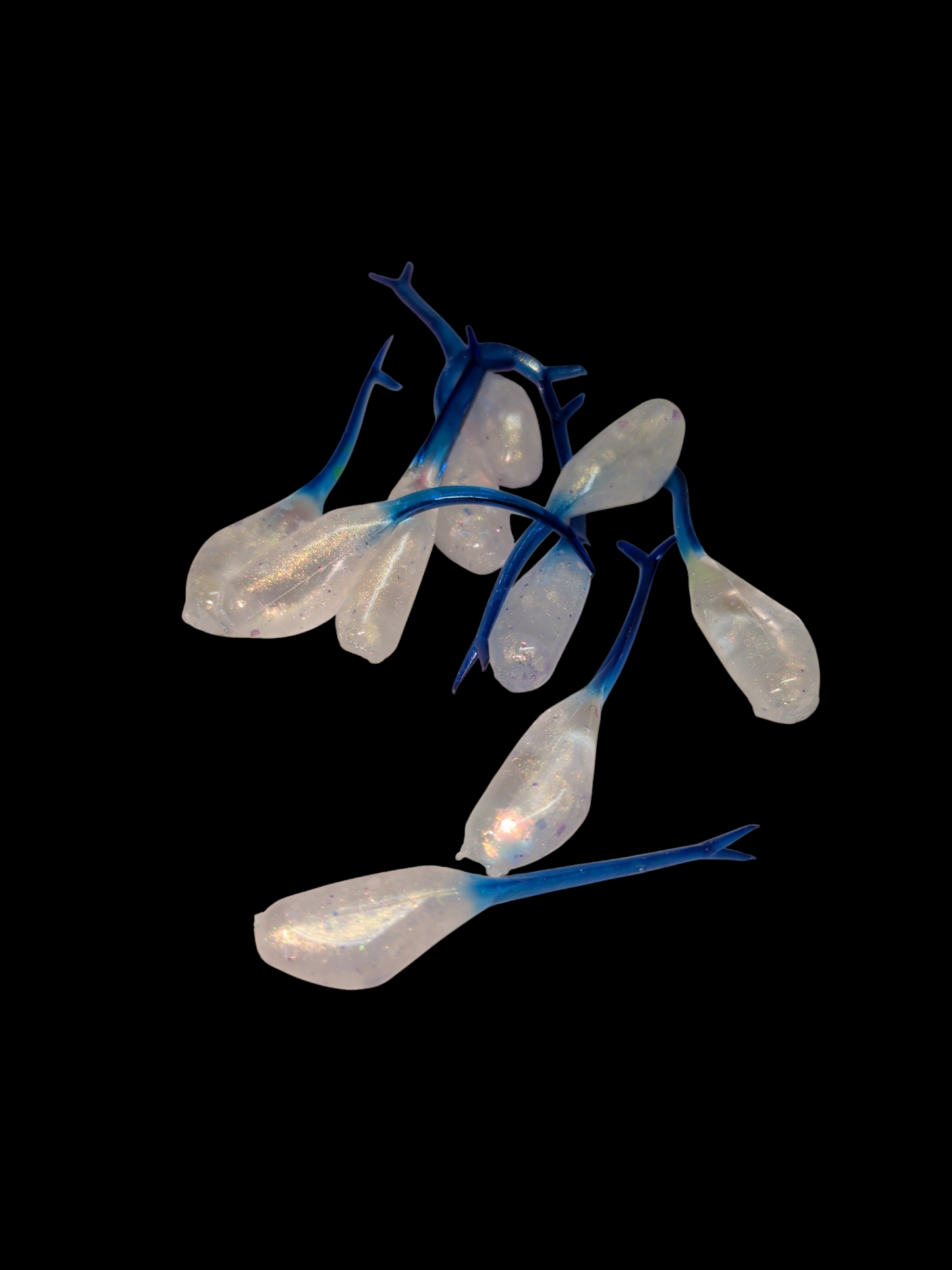 1.5" FC Split Tail Shad Custom tail color selection Kit